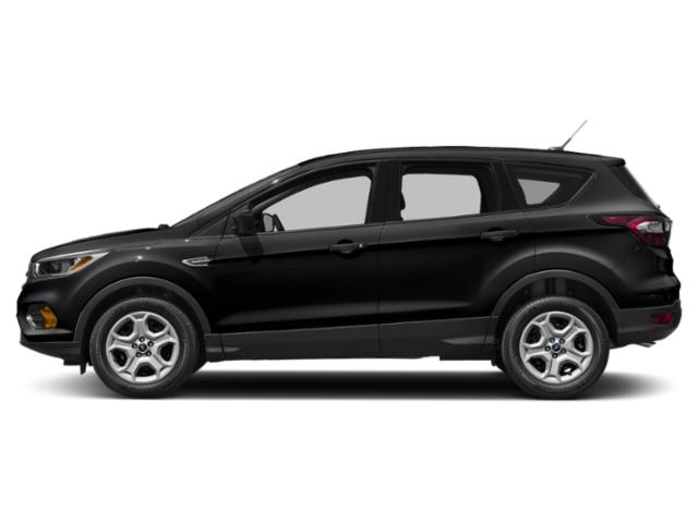 Used 2019 Ford Escape SE with VIN 1FMCU9GD5KUA21884 for sale in Saint Cloud, Minnesota