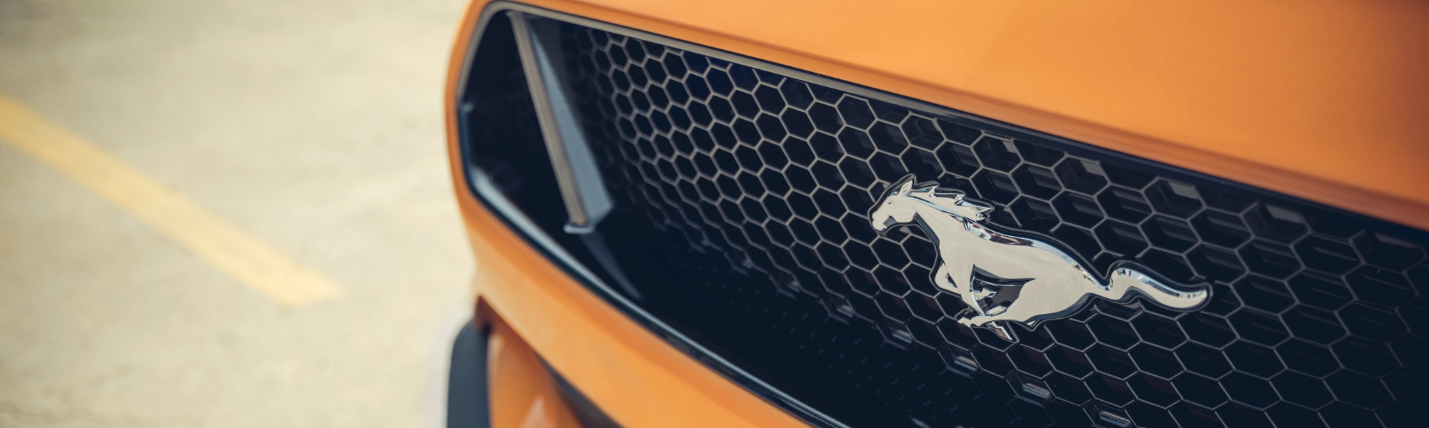 Ford Mustang Grill | Boca Raton, FL