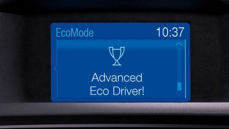 pink green and blue vans