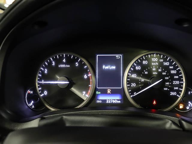 546544241