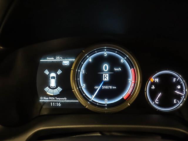 545442006