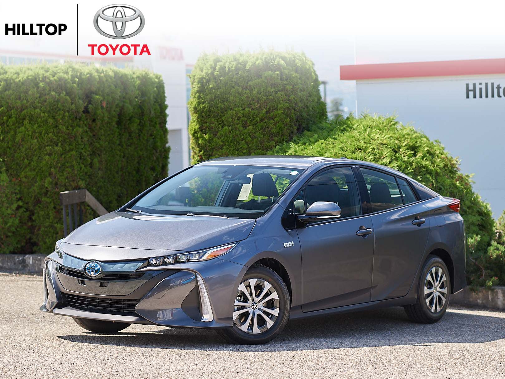 new 2021 toyota prius  stk  pp163406  hilltop toyota