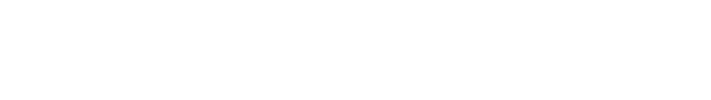 AN-NEXT_Logo_2D_WHITE_H