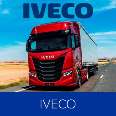 Group-Dynamic-Thumb-Trucks.jpg