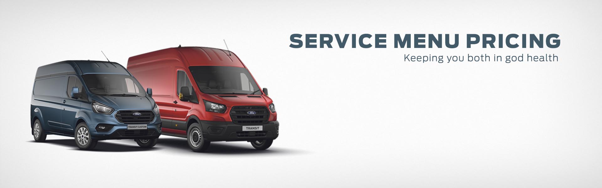 transit custom service cost