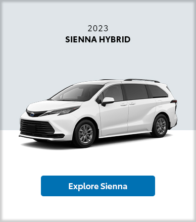 Web-Hybrid-Card-Sienna-v2