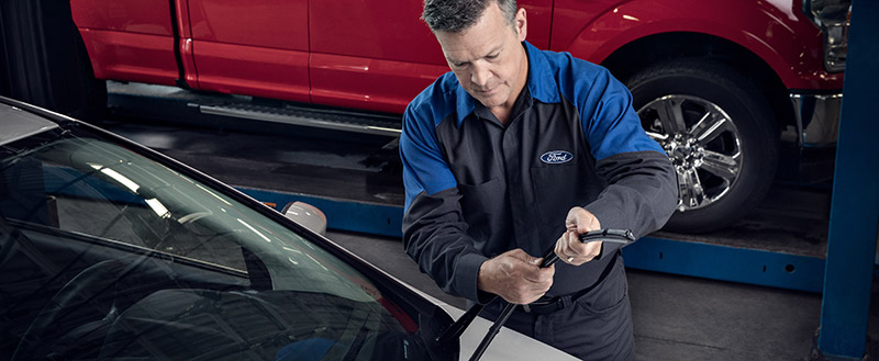 Fall Vehicle Service Tips | Toronto, ON