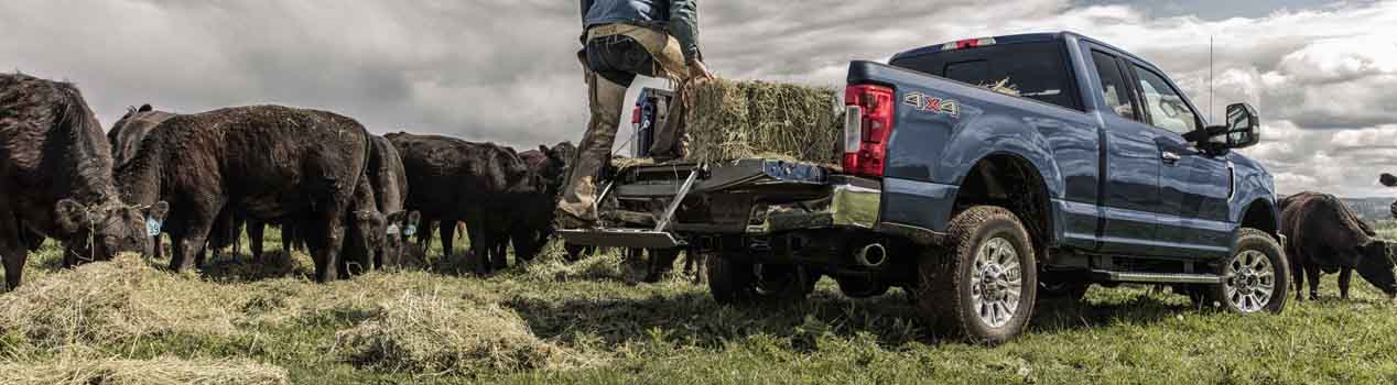 2020 Ford Super Duty Tremor Off Road Hometown Motors