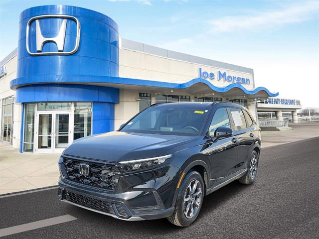 View vehicle photo 2