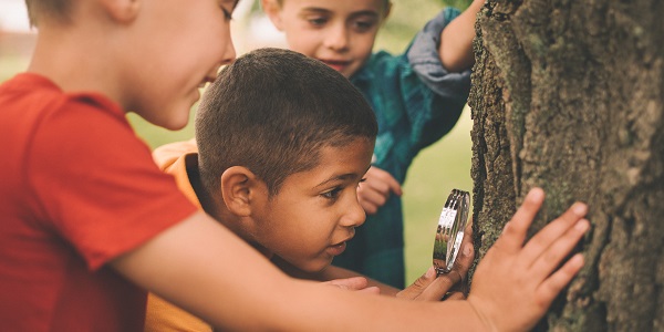 Children in nature