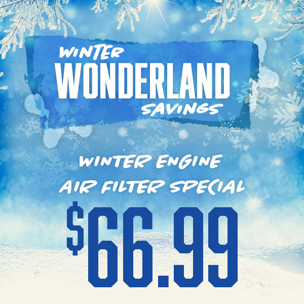 $66.99 Winter Engine Air Filter Special