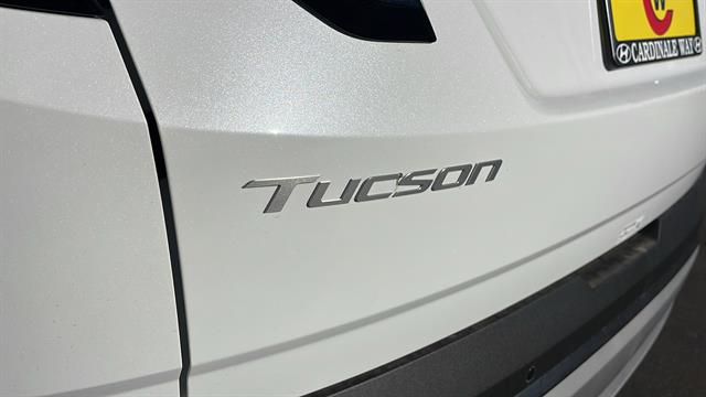 2025 Hyundai Tucson Hybrid Limited 30