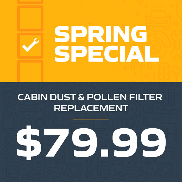 Spring Special: Cabin Dust and Pollen Filter Replacement $79.99