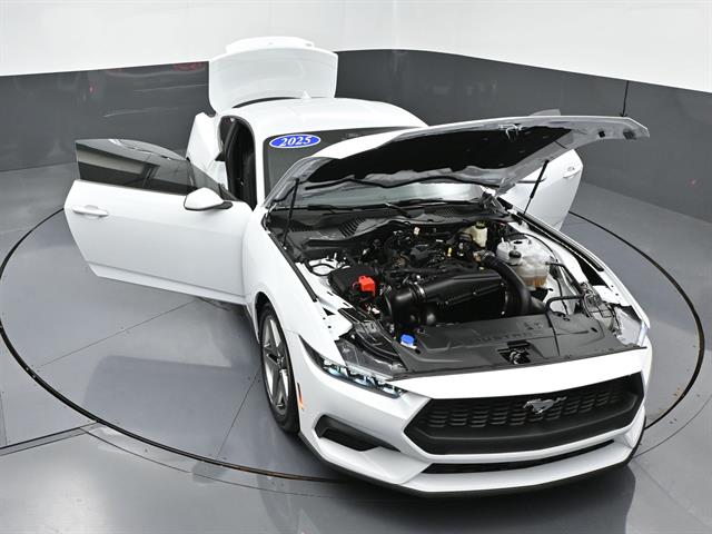 car-gallery-44