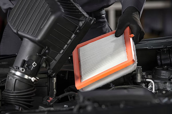 Engine Air Cleaner/Filter