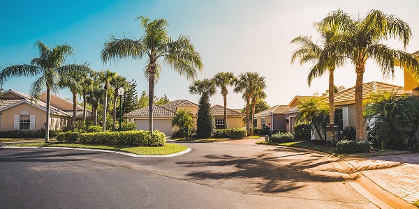 Homes with palm trees