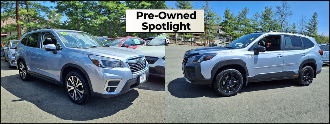PO Spotlight