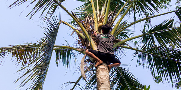 Things to Do on O‘ahu in November 2025