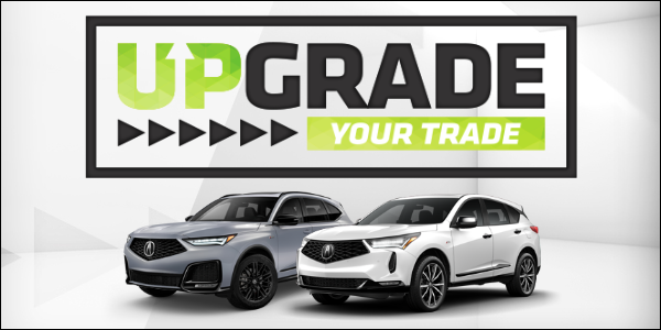 Sell Us Your Car Today
