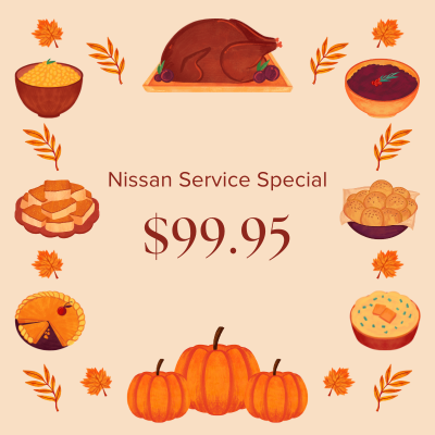 Nissan Service Special