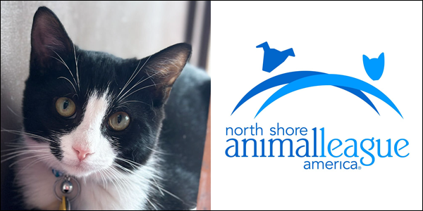 Gym Will Make the Cutest Exercise Buddy