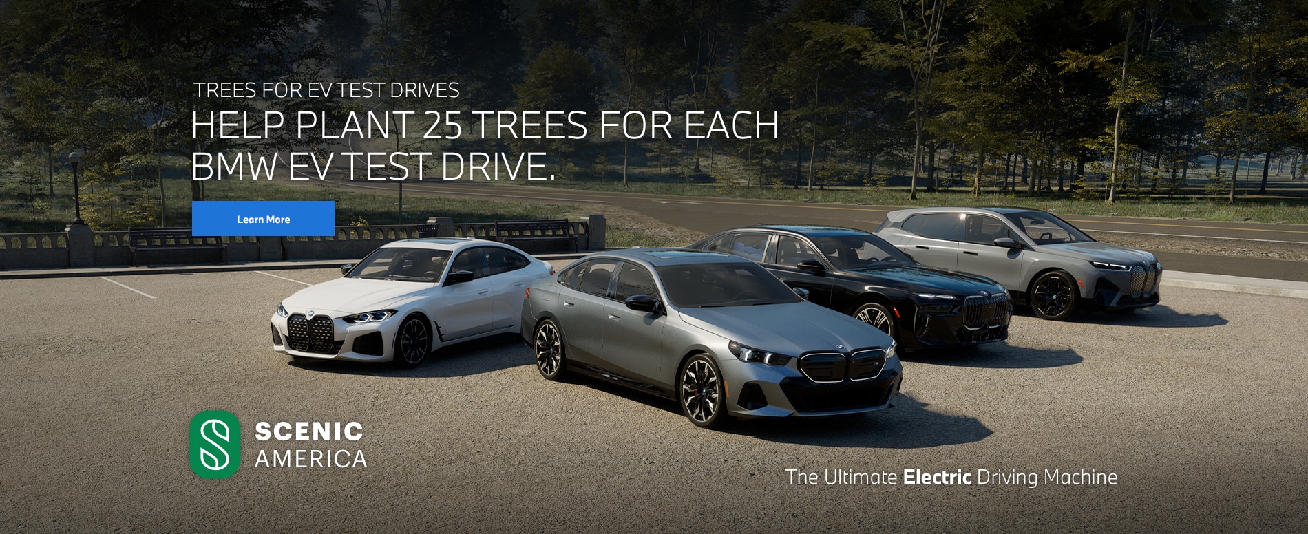 EV Test Drive Trees