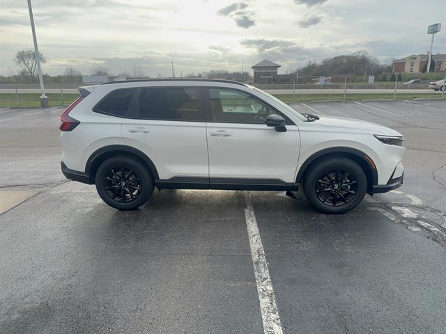 View vehicle photo 4