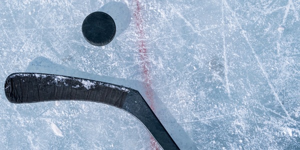 Hockey puck and stick