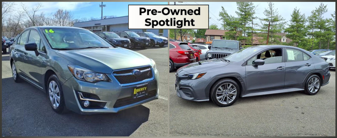 PO Spotlight