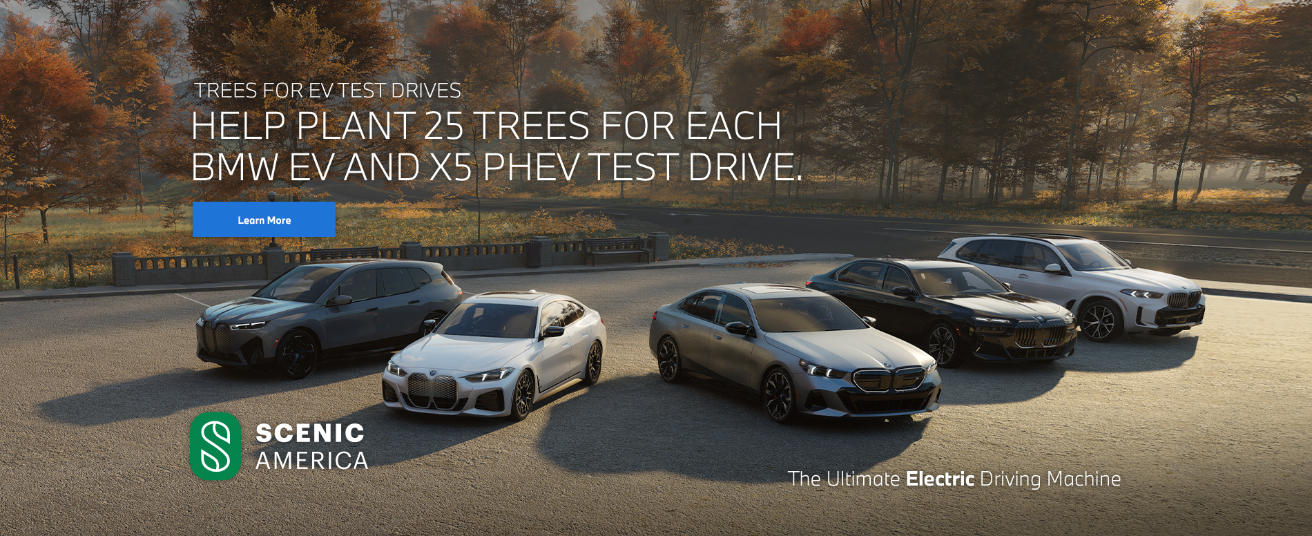 Trees For Electrified Test Drives