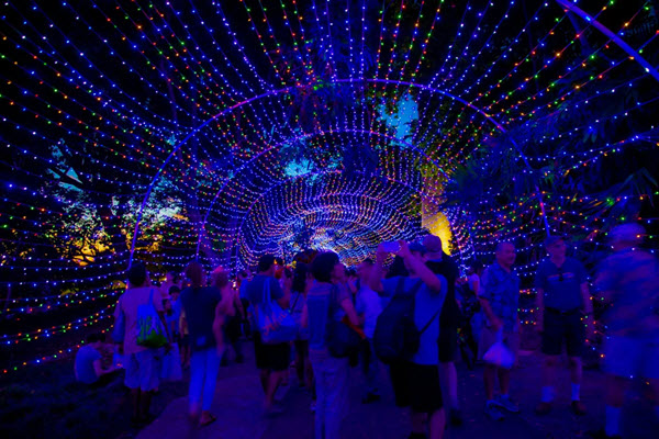 Midsummer Night’s Gleam