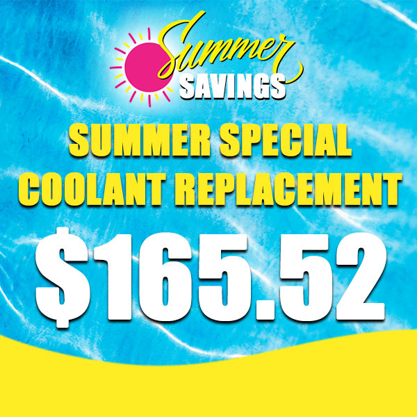 Summer Special