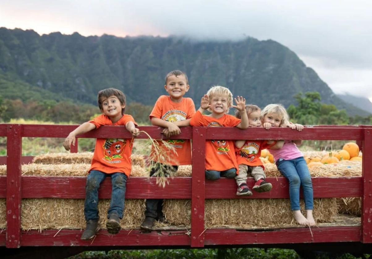 2026 Pumpkin Patches