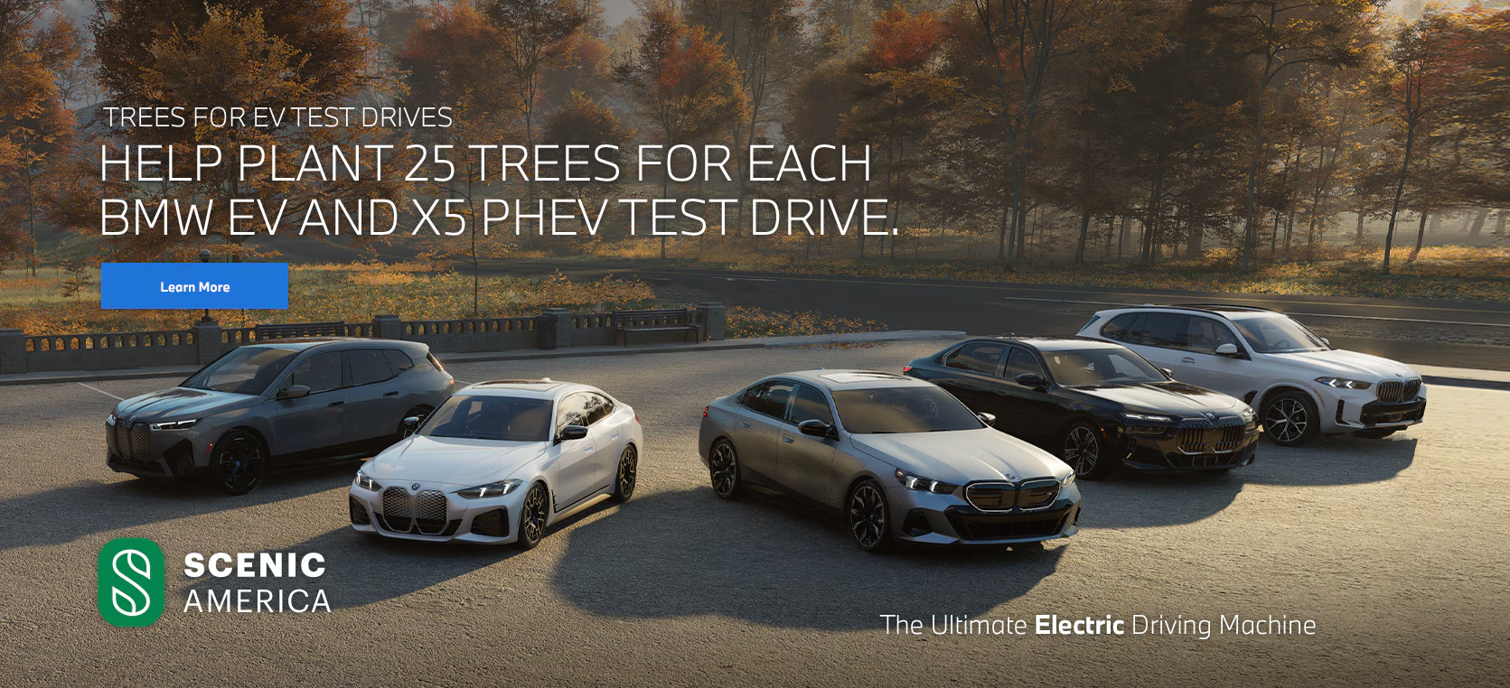 Trees For EV Test Drives