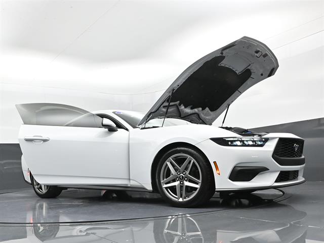 car-gallery-43