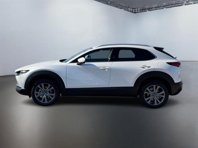 2025 Mazda CX-30 2.5 S Premium Package 7