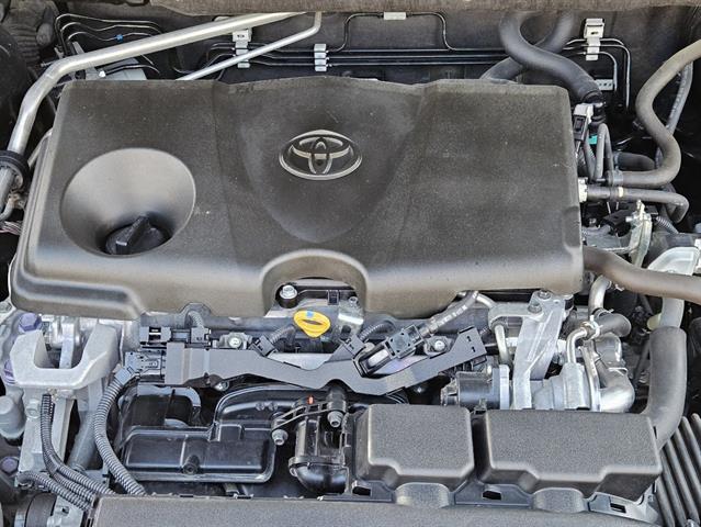 2019 Toyota RAV4 Limited 23