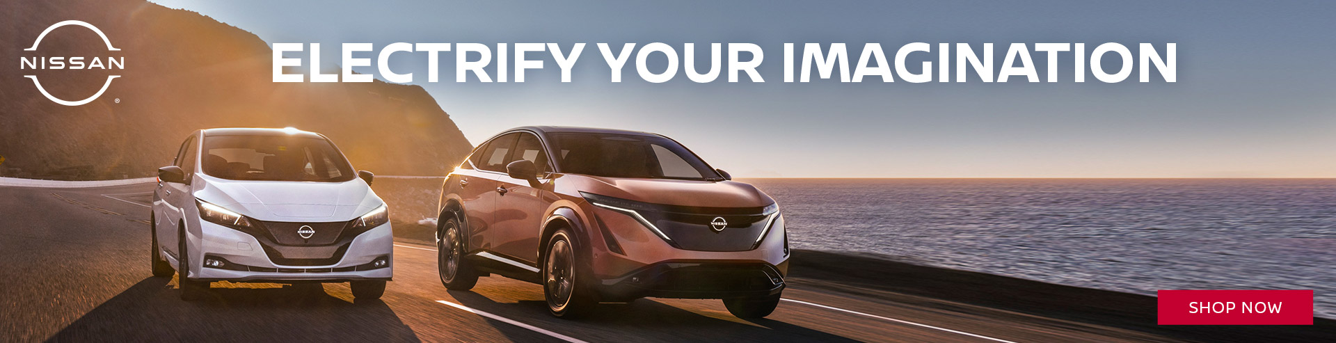 Electrify Your Imagination | Galesburg Nissan, IL