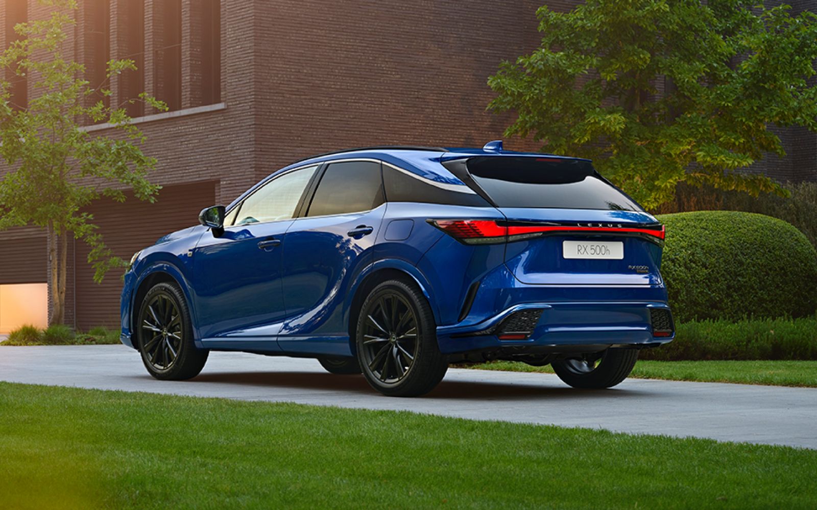 Lexus RX 2022 New