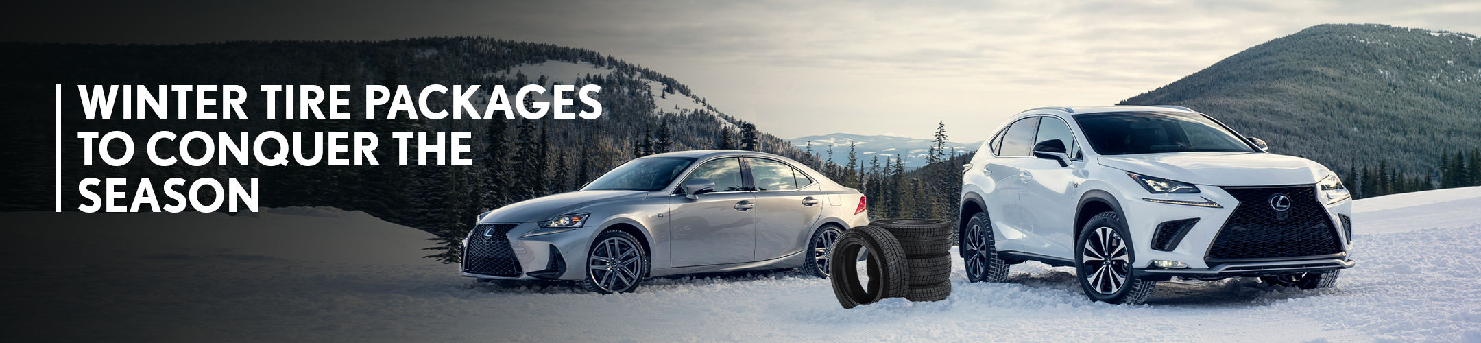 Winter Tire Packages To Conquer The Season | Toronto, ON